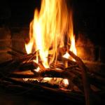 Energies renouvelables bois feu de bois