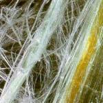 Matériaux à proscrire l`amiante