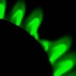 Energies renouvelables biométhane