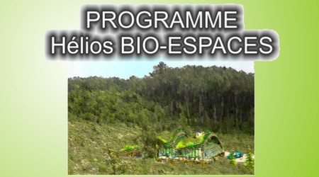 Héliogalbe en forêt et titre