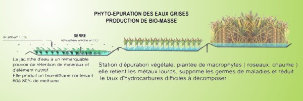 Les techniques : la phytoépuration