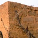 Matériaux à privilégier terre adobes