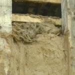 Matériaux à privilégier terre torchis